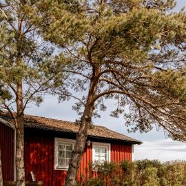 Viesnīca Liten Kuststuga Vid Kullabergs Natur Och Hav pilsētā Jonstorp