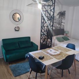 Studio plein centre face au lac, cave vélo, מלון בבניול דה ל'אורן