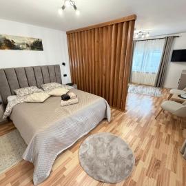 Cameră dublă confort Suceava, hotel u gradu Ipoteşti