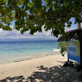 Ravenala Beach Bungalows, hotel en Moalboal
