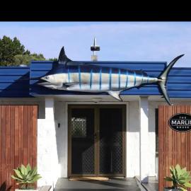 The Marlin House Iluka、イルカのホテル