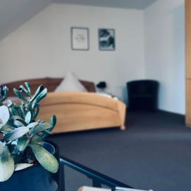 Pension Lutter, hotel a Bodenwöhr