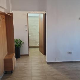 Brancoveanu Avenue Apartament
