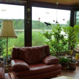 Bungalow am Küstrinsee bei Lychen: Lychen şehrinde bir otel
