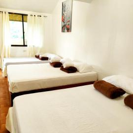 Siargao Tropic Hostel