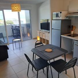 Iconic 343 , Superbe T2 climatisé, wifi, parking, terrasse 18m2