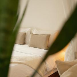 Big Tree Boutique Hotel