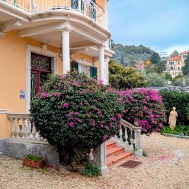 "Meine Sonne - Essenza di Riviera Holiday Home" con vista mare, terrazzo e parcheggio, hotel di Imperia