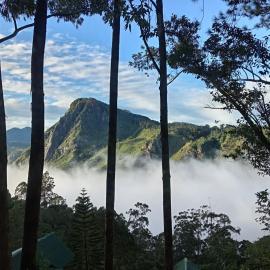 Auraya Ella, hotel em Ella