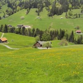 Bräkerhaus Toggenburg, hotel in Lichtensteig
