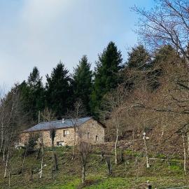 Vivienda de uso turístico en plena naturaleza O Poleiro