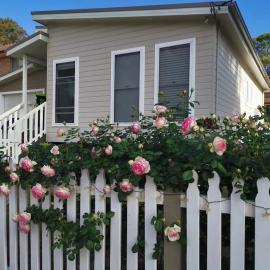 Saturday Cottage - 2 Bedroom Pet Friendly Lakeside Home