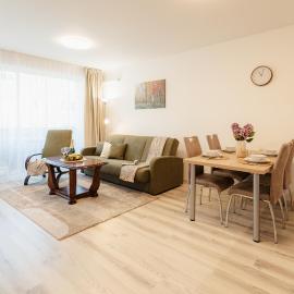 BNB Apartment Pod Vinicou with balcony