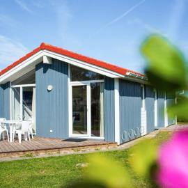 4 star holiday home in FRIEDRICHKOOG
