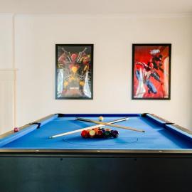 Seednest Gameroom &Green Oasis, готель у місті Tarneit