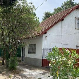 Teresita