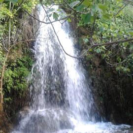 Casa La Cascada, Hotel in El Bosque