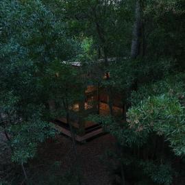 Tiny house en pleno bosque a metros de la laguna, hotel en Chascomús