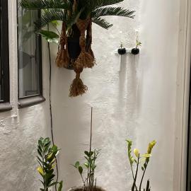 Petit studio haussmannien