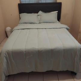O E Liburd Residence, hotel a Charlestown