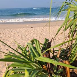 Jana Sri Lanka Villa Ambalangoda 2