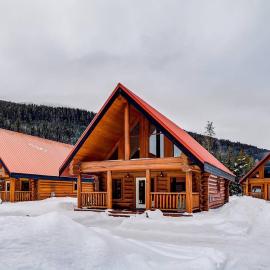 Authentic, Timber Log Cabin Perfect for Groups, hotell i Golden