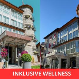 Lifestyle & Spa Hotel Grächerhof, hotel v destinácii Grächen