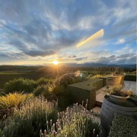 Quail Run Cottage with stunning vineyard views, hotel a Renwick