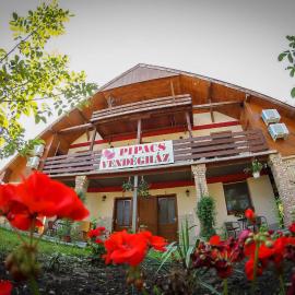 Pipacs Vendégház és Kemping, hotel in Poroszló