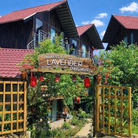 Lavender Homestay Măng Đen、Kon Von Klaのホテル