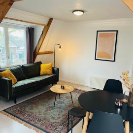 Bright apartment incl workplace near the city center