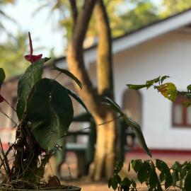 WIJAYA Rest: Gampaha şehrinde bir otel