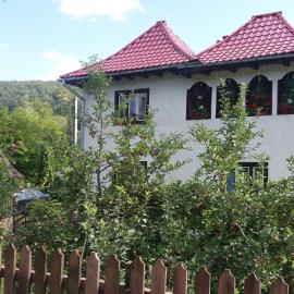 Pensiunea Letitia, hotel a Suceviţa