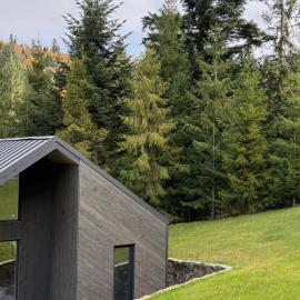 Cottages Shepit Lisu New, hotel in Myta