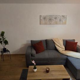 Cosy Apartment Erlach - Lac de Bienne, Hotel in Erlach