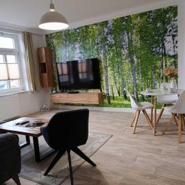 Harzbrise - Ferienwohnung mit Sauna, Smarthome, Wallbox