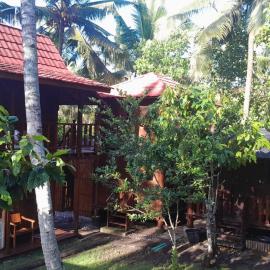 Jungle Lodge Medewi Bali