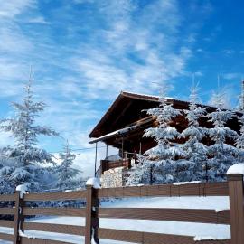 Artem Chalet，Ciocanu的飯店