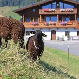 Hörlbauer-Leogang
