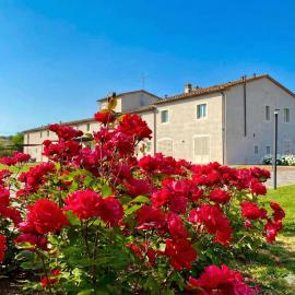 Agriturismo Saliceto