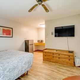 Pet-Friendly Studio Near Pine Knob: Bring Skis!