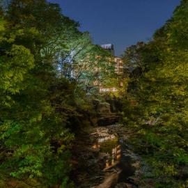 Hotel Miyama: Chichibu şehrinde bir otel