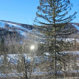 Mountain view chalet avec vue sur la montagne, hotel sa Stoneham