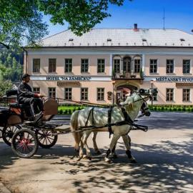 Hotel Na Zámečku, hotel u gradu Usti na Orlici