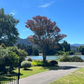 Artists Retreat Apartment Stay for Couples and Creatives, Hotel in Riwaka