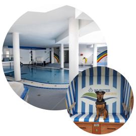 Nordsee direkt Garten Hallenbad und Sauna Strandkorb in der Saison、ドルム・ノイフェルトのホテル