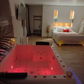Suite de charme jacuzzi jardin privatif près de Paris et stade de France et en lisière de forêt