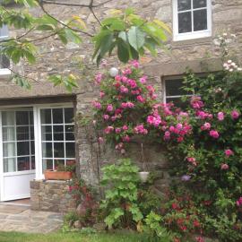 Clos Bel es Martin Sea View and campaign，Auderville的飯店