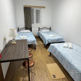 NAPO HOTEL სასტუმრო ნაპო، فندق في زوغديدي