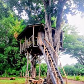 Casa Del Árbol - Ometepe – hotel w mieście Santa Ana